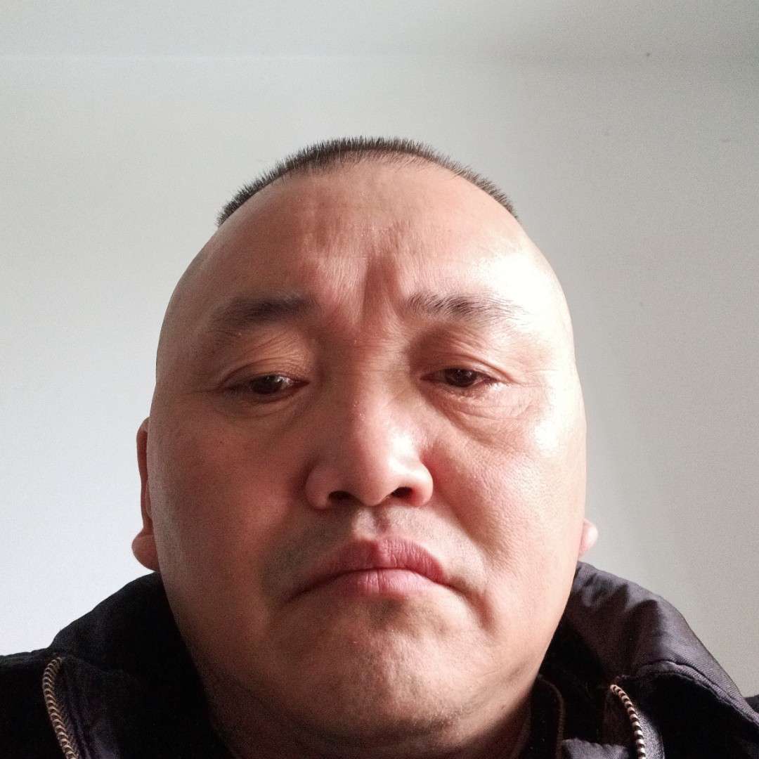 斑马挽手英俊的照片