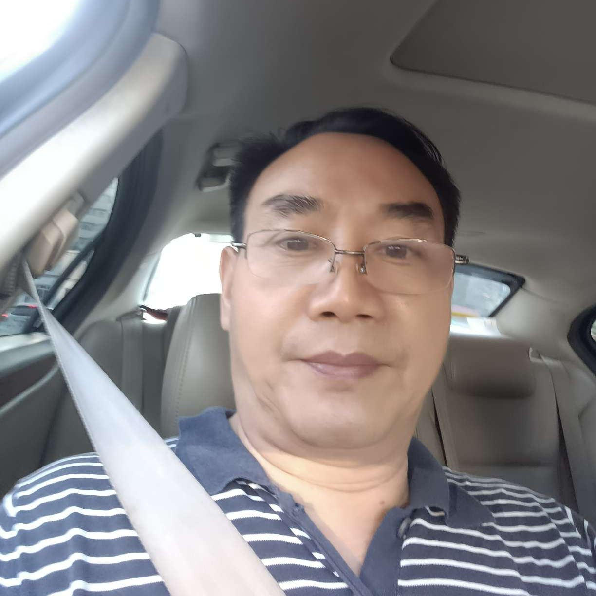 小巧演变海燕的照片