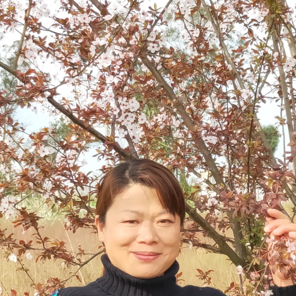 若是有缘就能相遇的照片