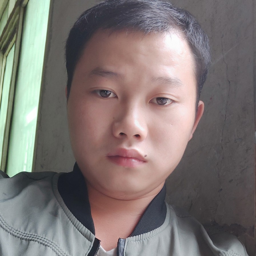 高贵白猫的照片