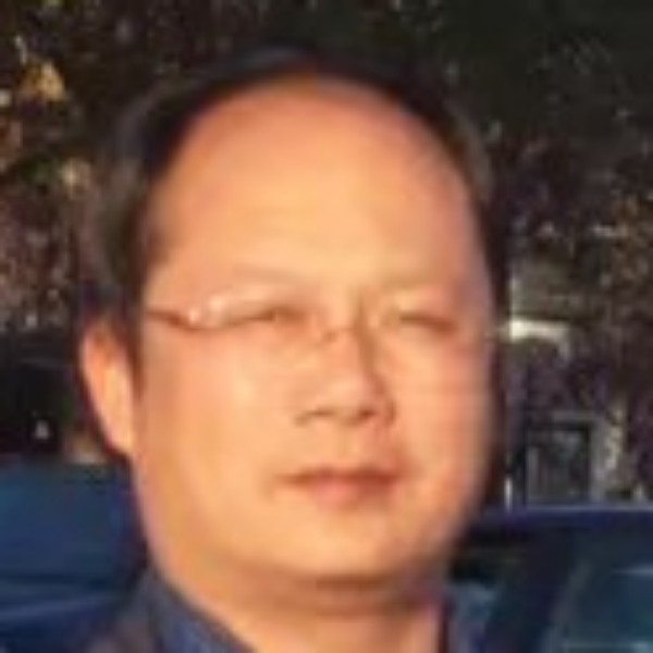 海燕动人快乐的人的照片