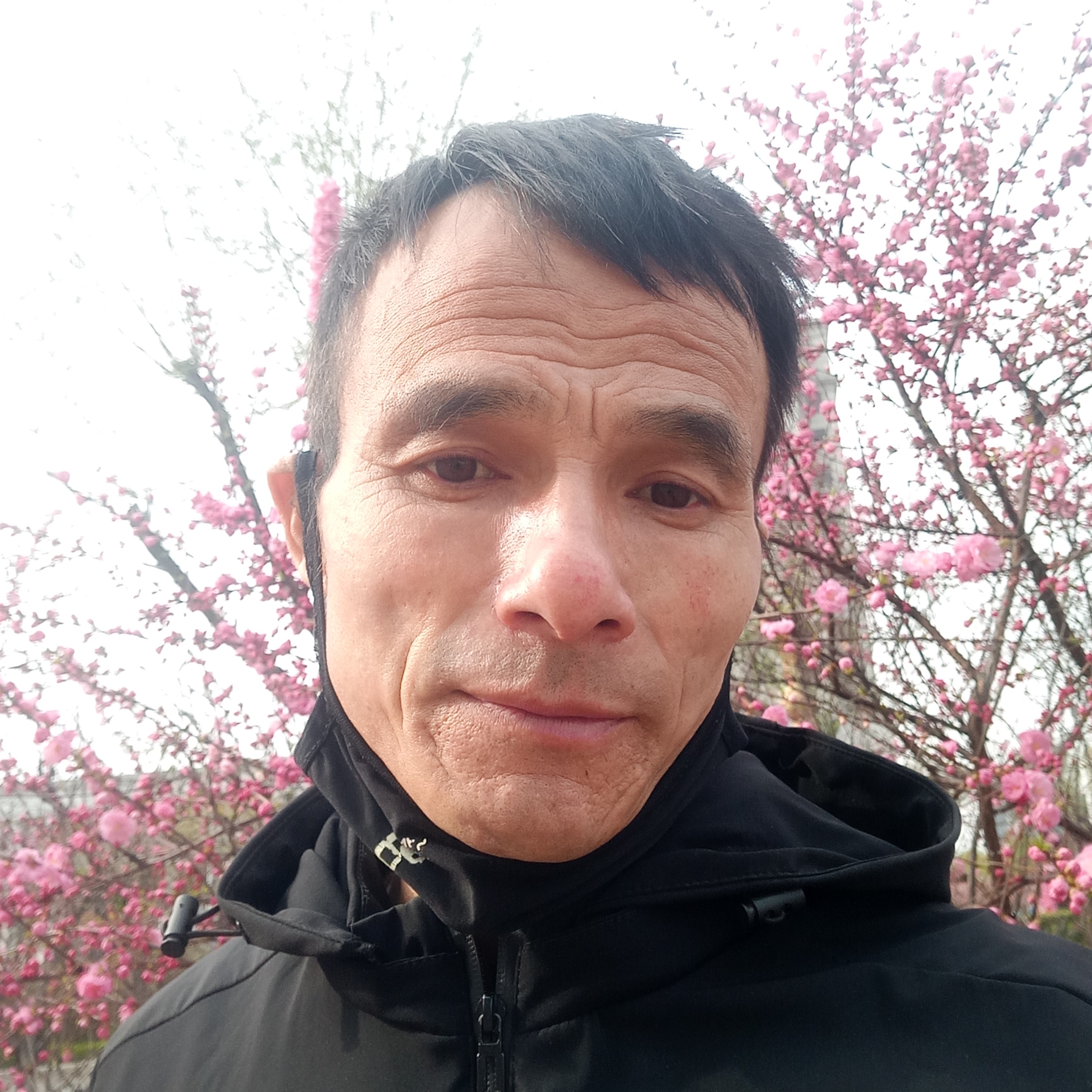 如梦蹁跹直率的照片