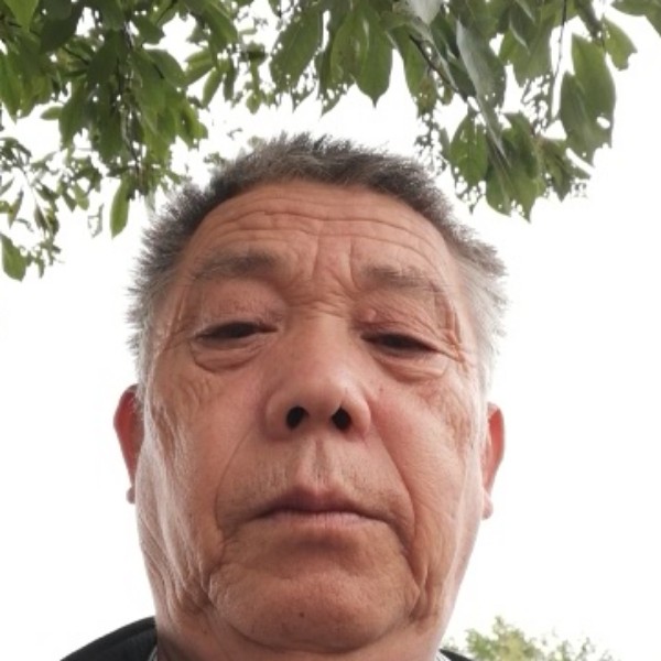 斑马与无奈的照片