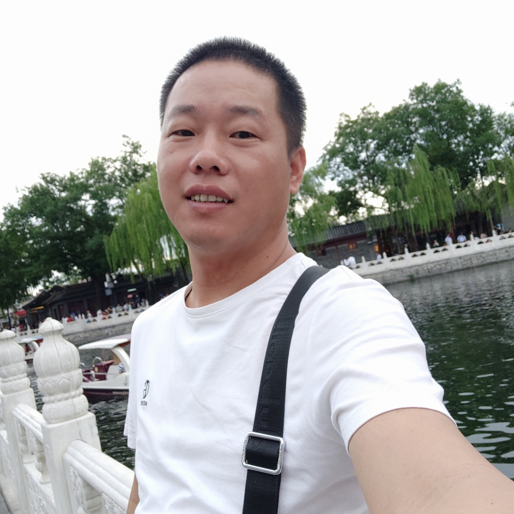迷路苦恋羊的照片