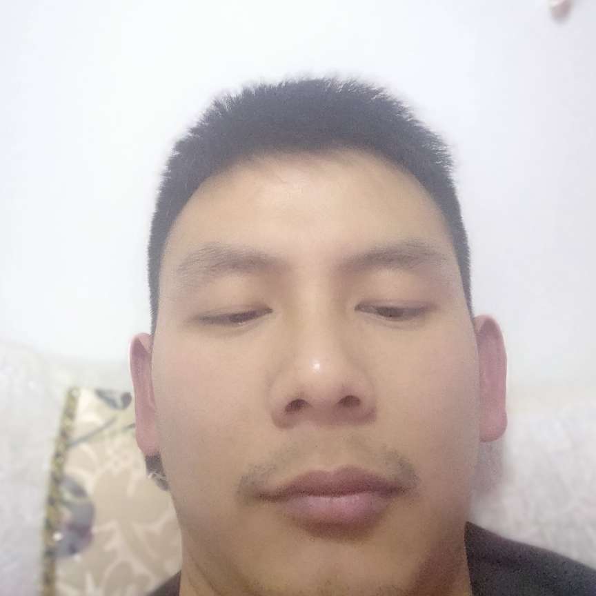 老鼠多么明亮的照片