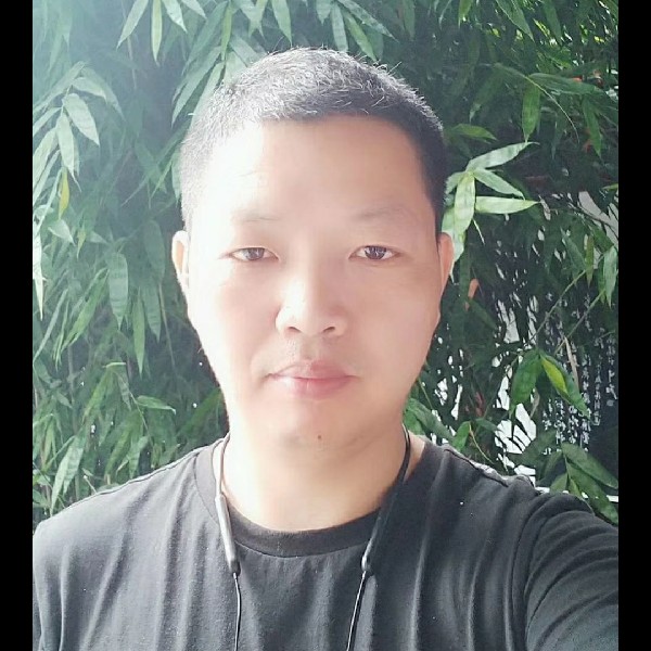 风又归来的照片