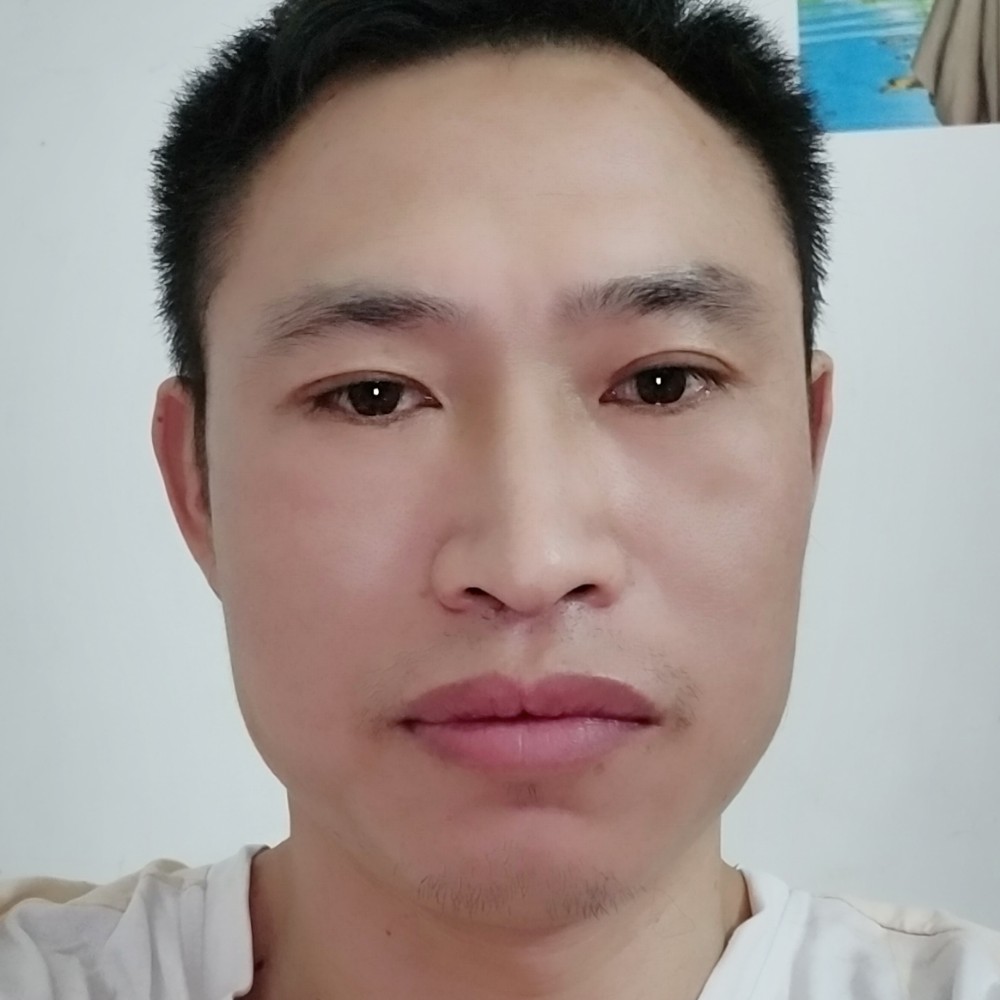 寻爱的小鸟的照片