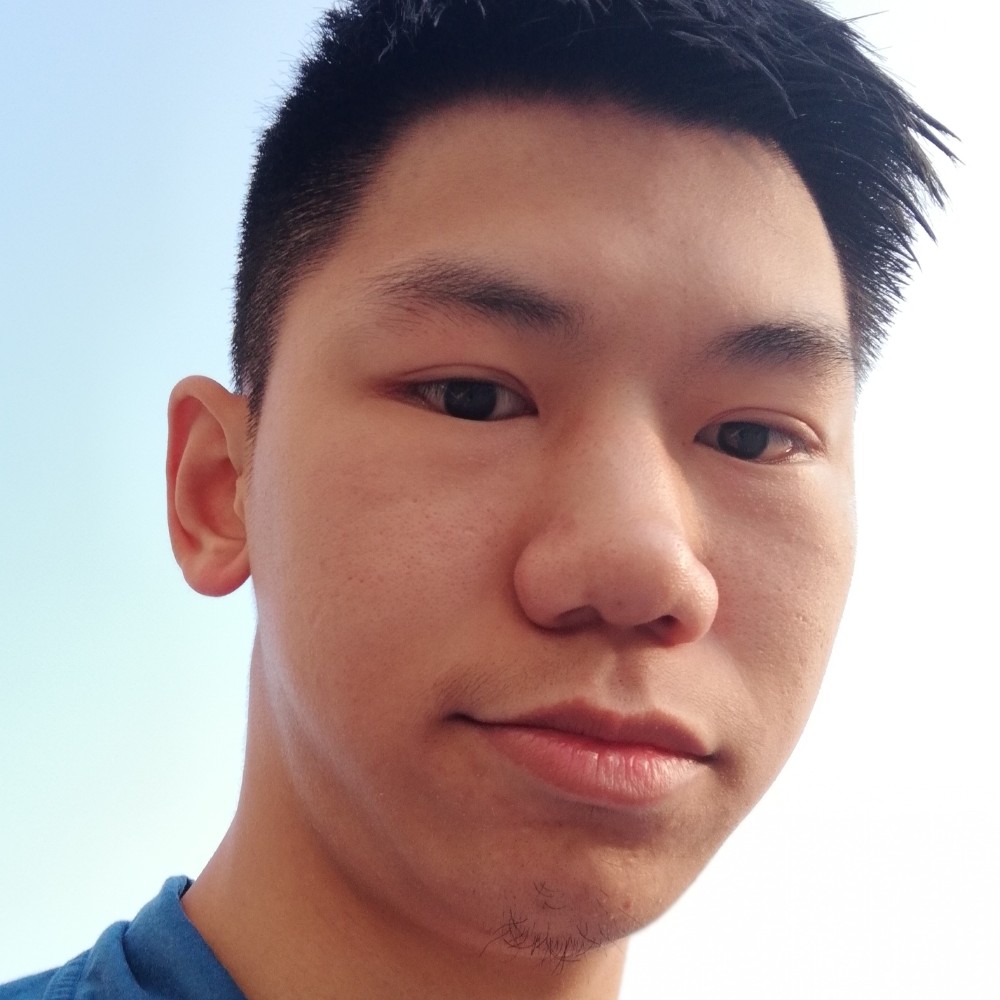树叶等待热心的照片
