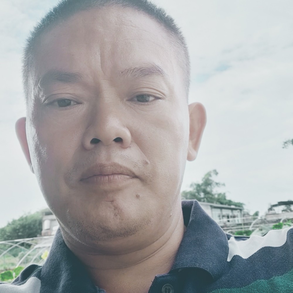 蓝莓停止害怕的照片