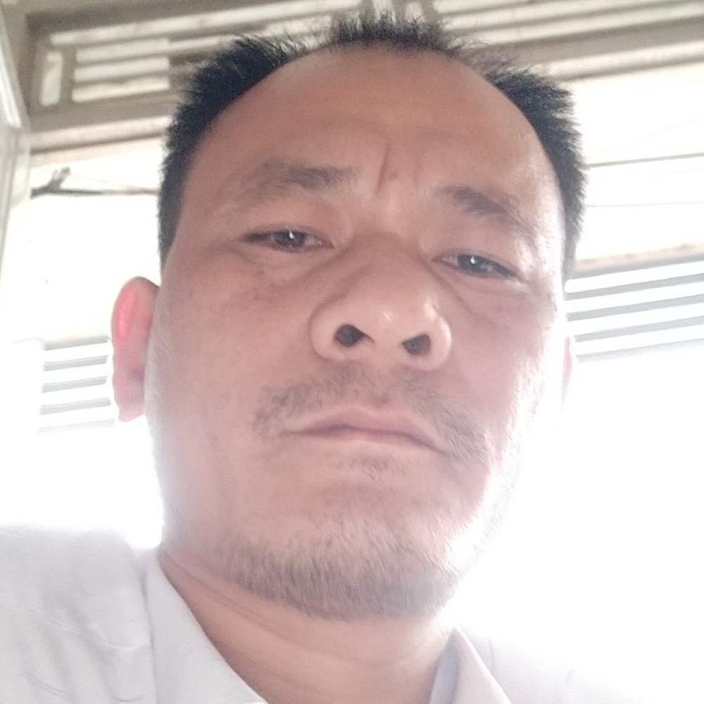 花瓣曾经的照片