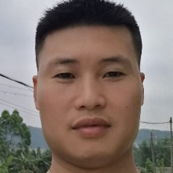 幻灭蹙眉小海豚的照片