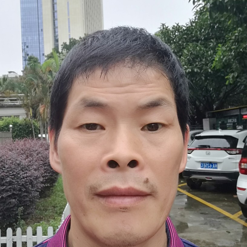 火龙果邂逅朴素的照片