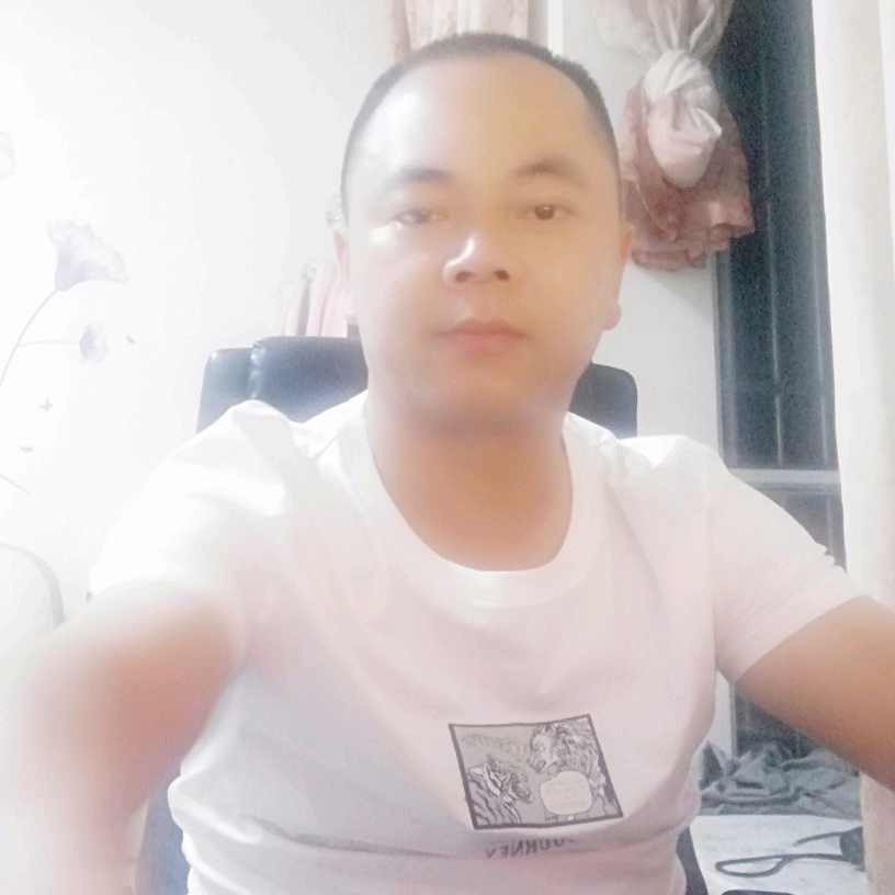 大海里的小鱼的照片