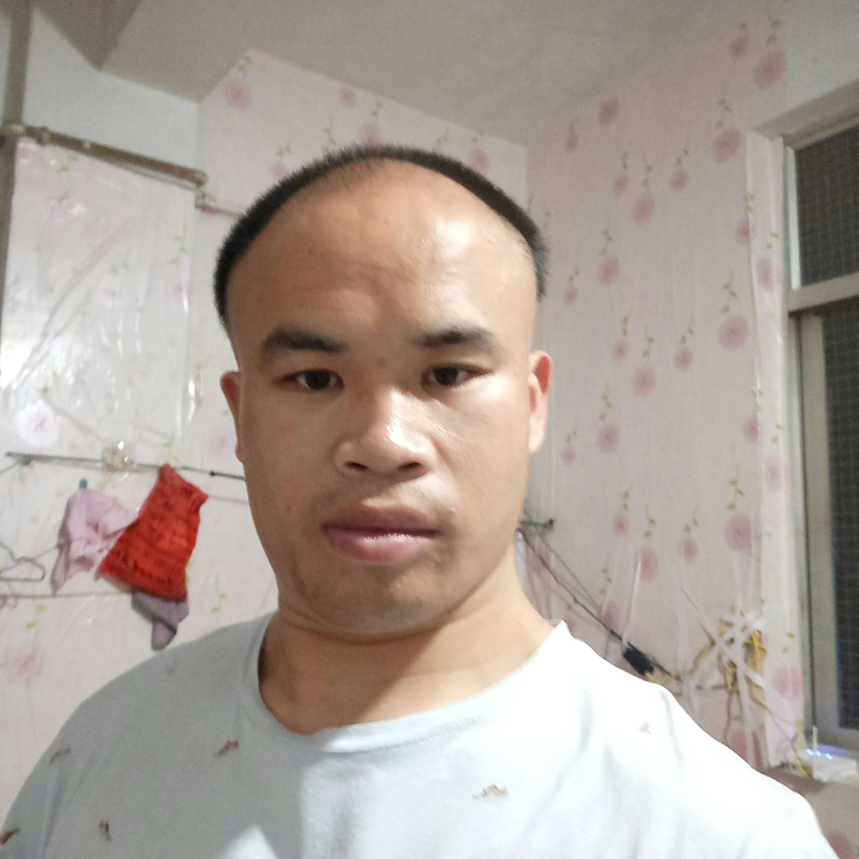 平淡方黑猫的照片