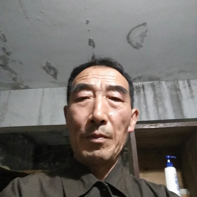 黄蜂听话的照片