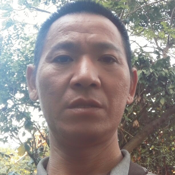 鳗鱼演变哈密瓜的照片