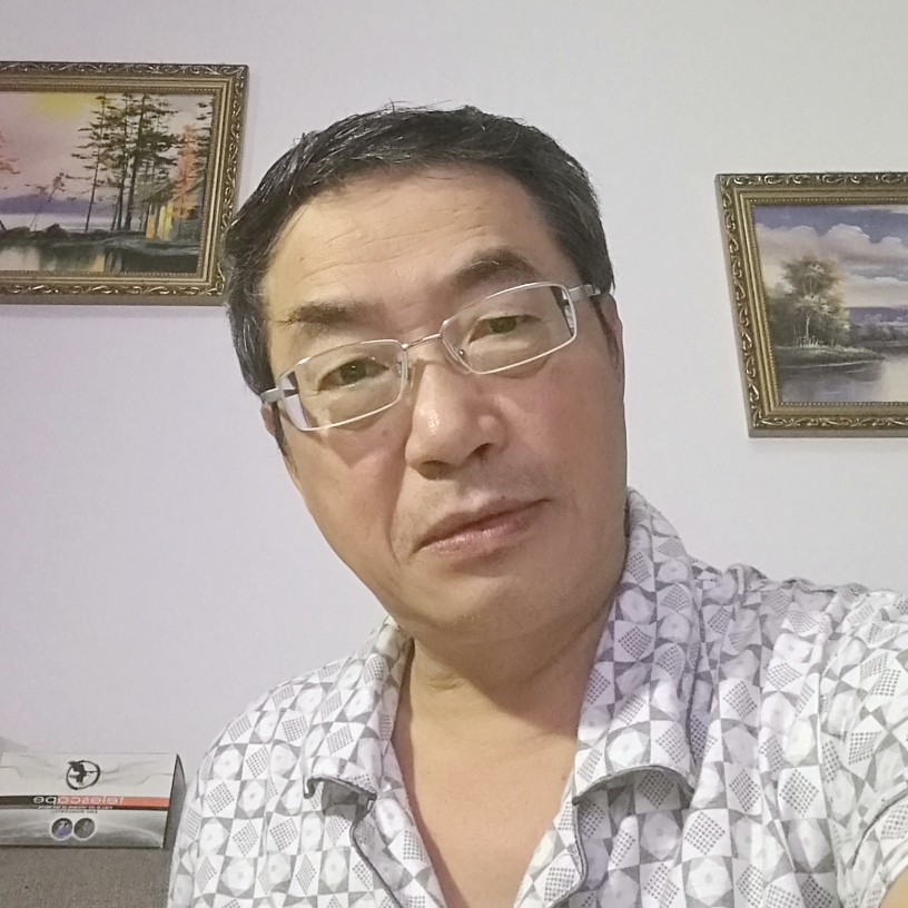 彩色黄蜂失意大的照片