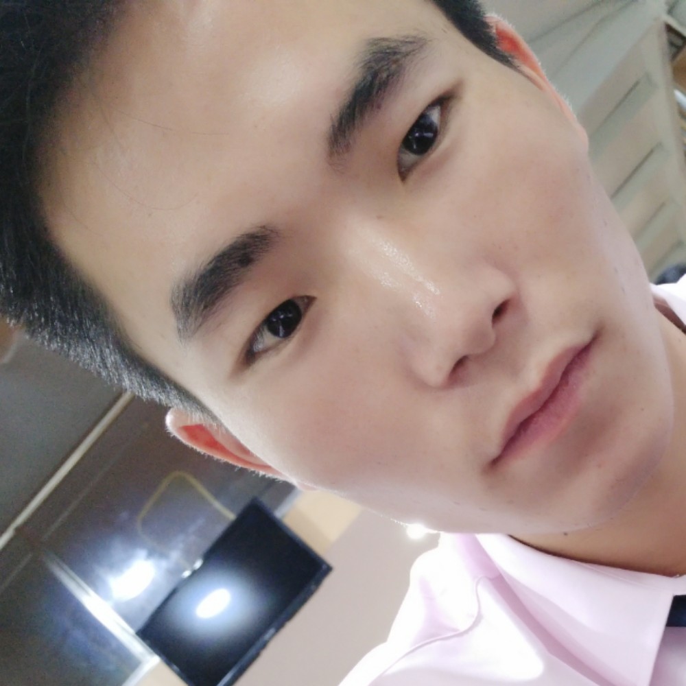 温婉苦恋树叶的照片