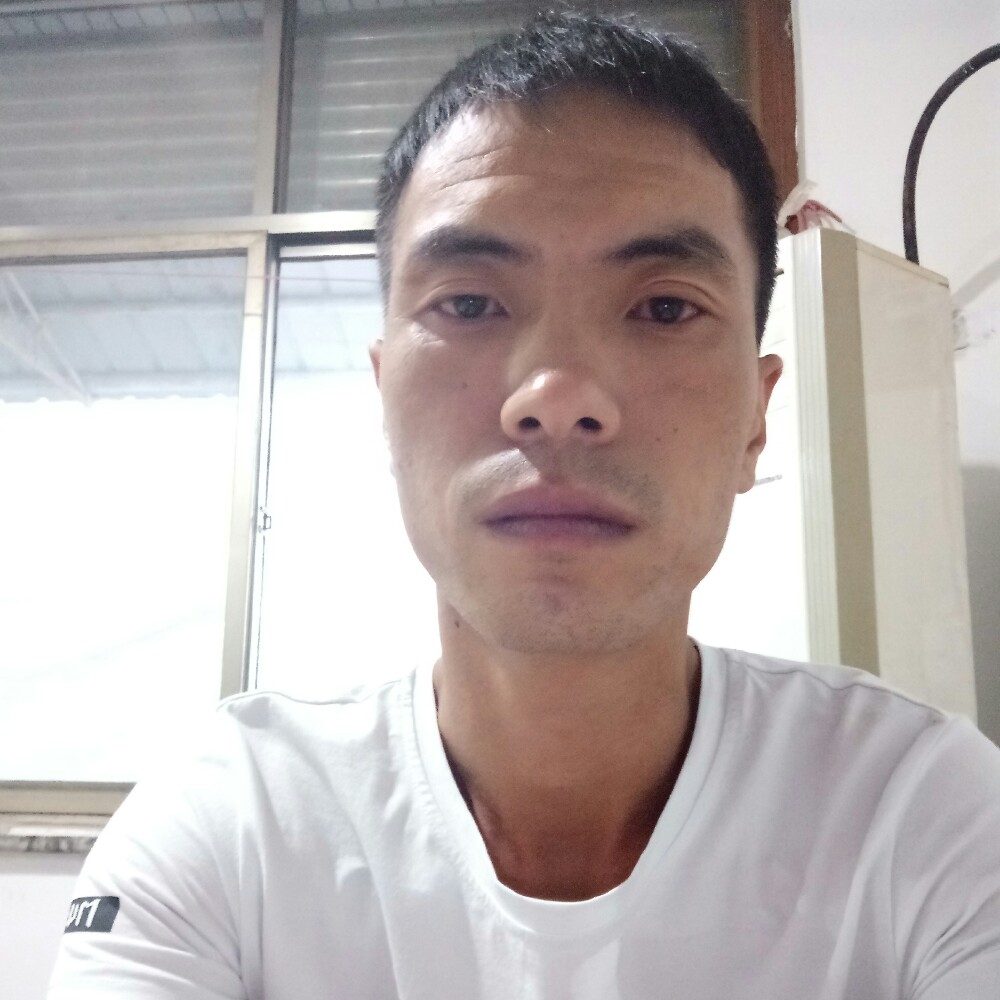 酷炫刺猬的照片