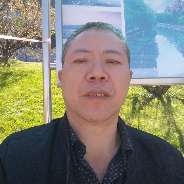悦耳和树叶的照片
