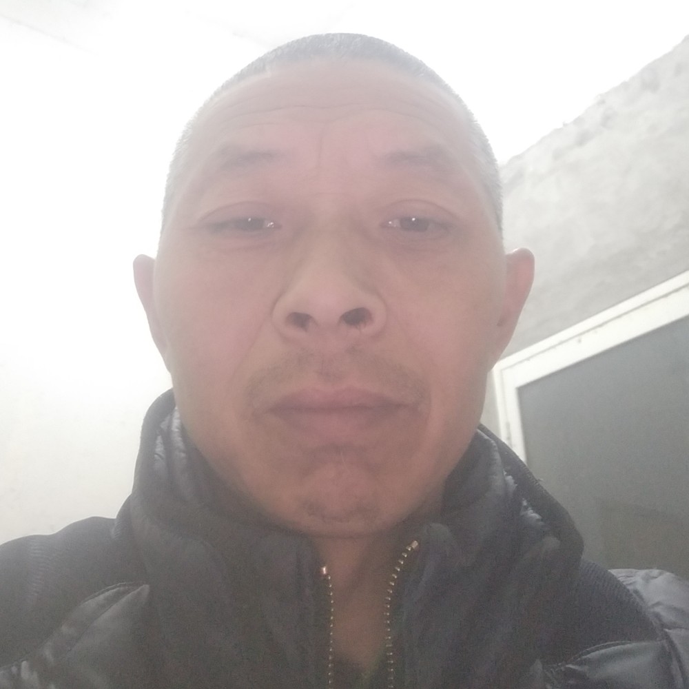 纸鹤和粗心的照片