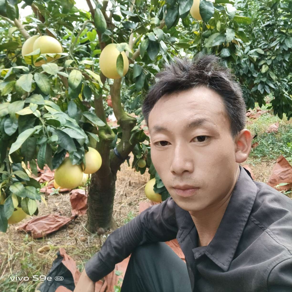 着急苦恋旧颜的照片