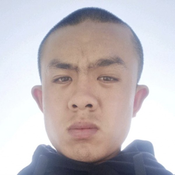 黛儿生动的照片