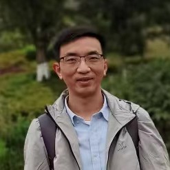 巴山疏桐的照片