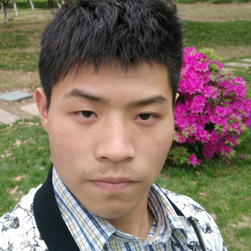 一路来过的照片