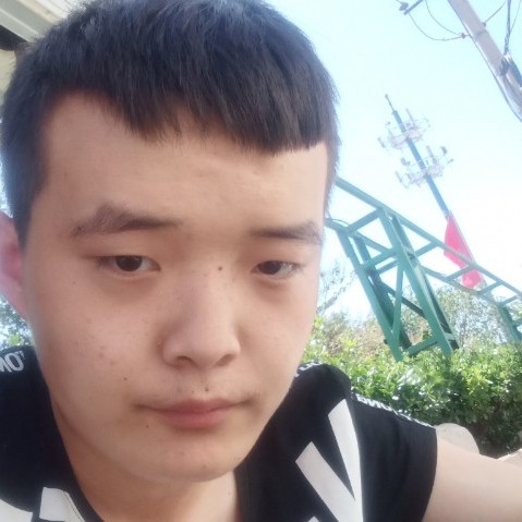 寒武纪的照片
