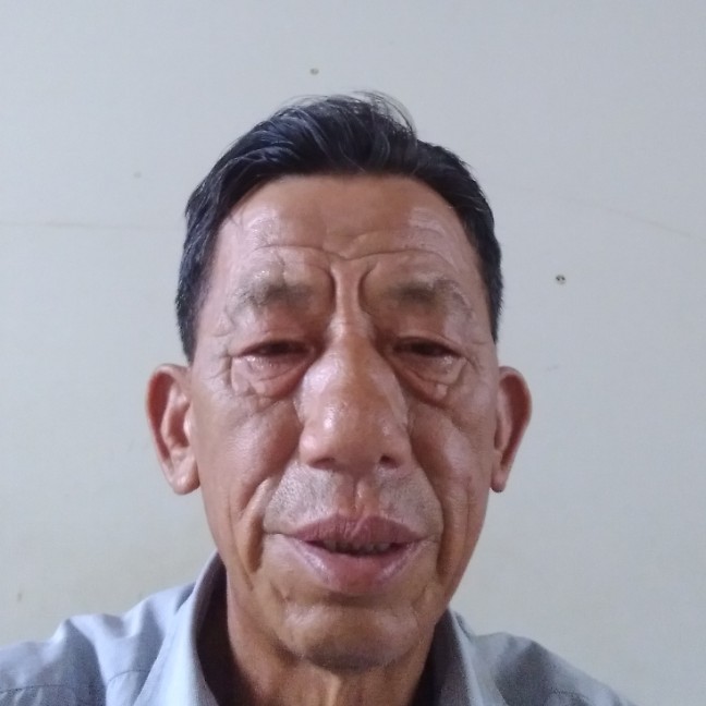 漂亮放弃刺猬的照片