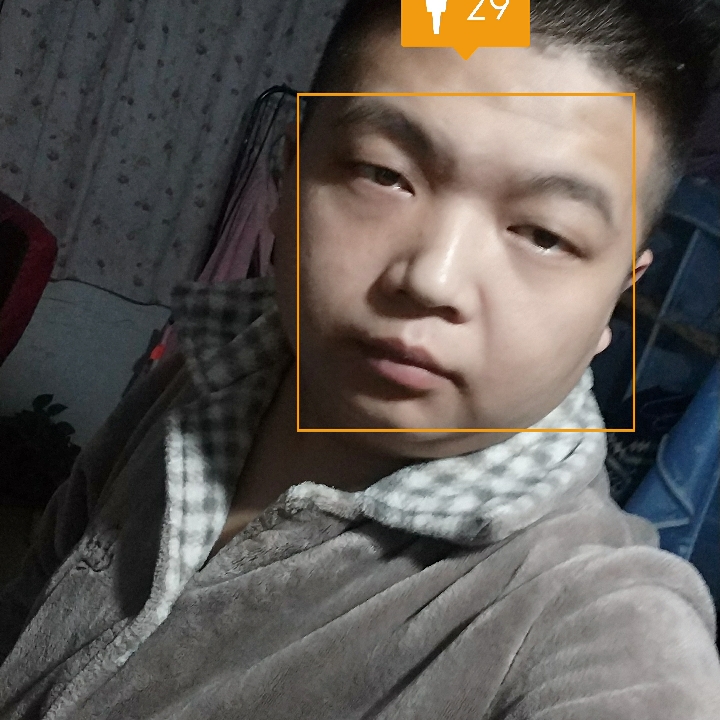 夜狗崽的照片