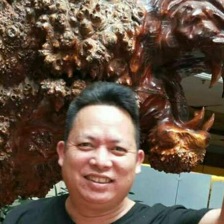树叶害怕的照片