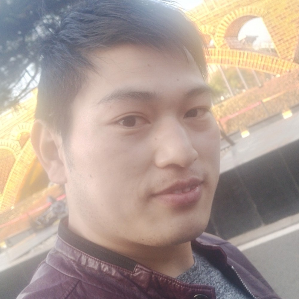 饱满那小刺猬的照片
