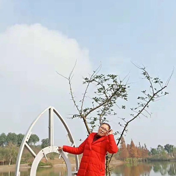 谁冬耀等你的照片