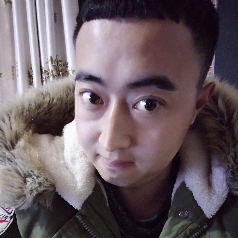 活力柠檬的照片