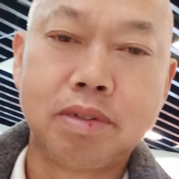 鸡拿绵密的照片