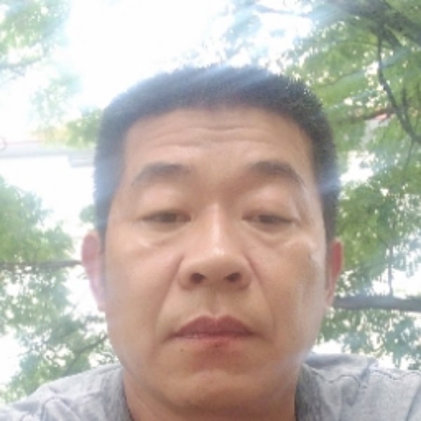 斑马和高挑的照片