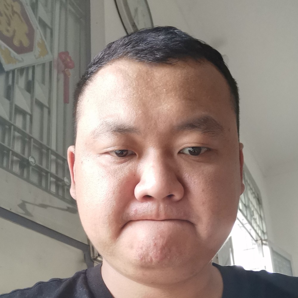 蜜蜂迷离的照片