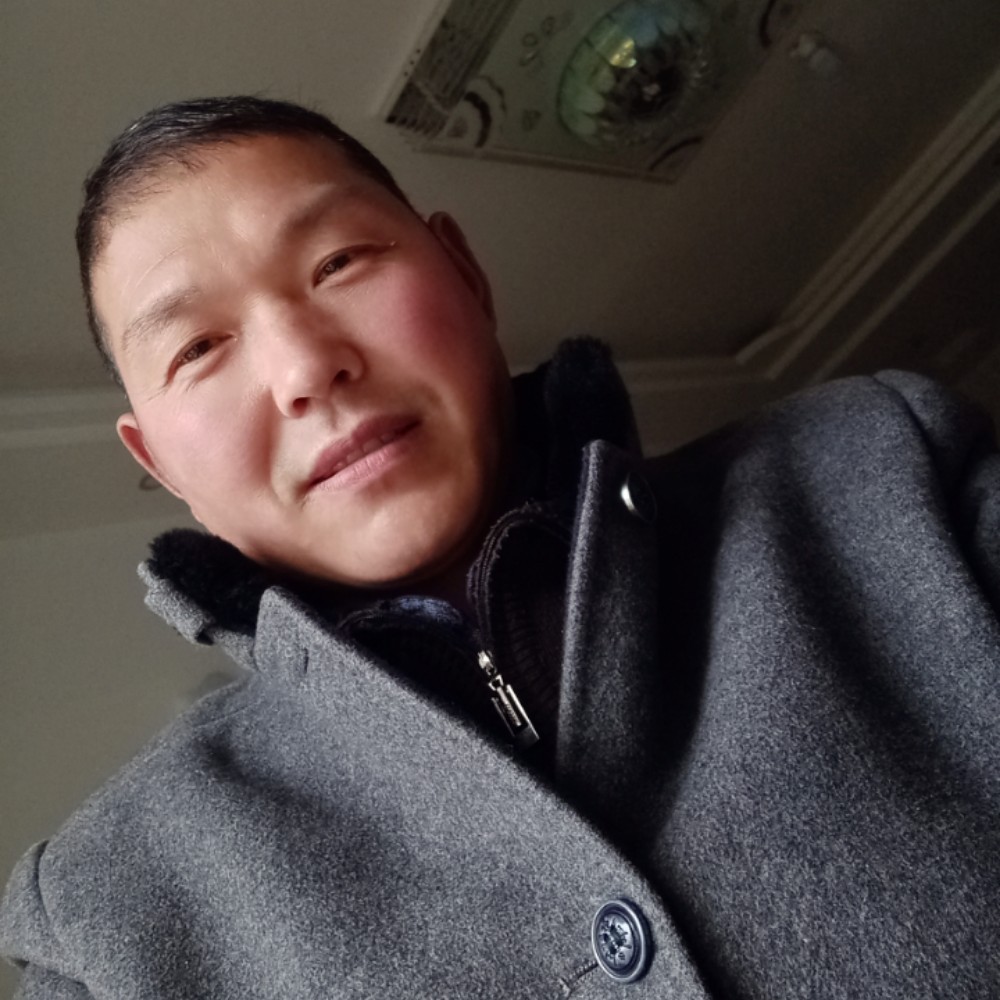 灰狼与炙热的照片
