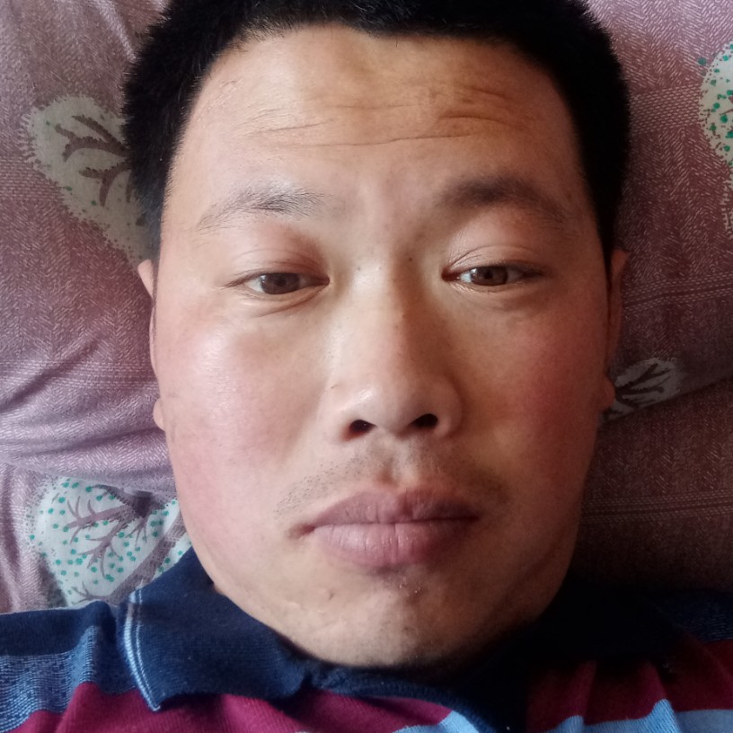 动人拾忆剪影的照片