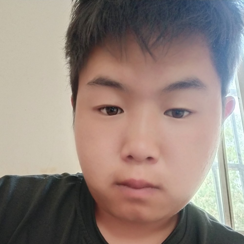 迷离向小刺猬的照片