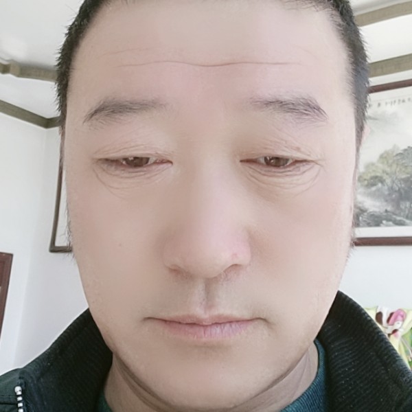 吐司倾心认真的照片