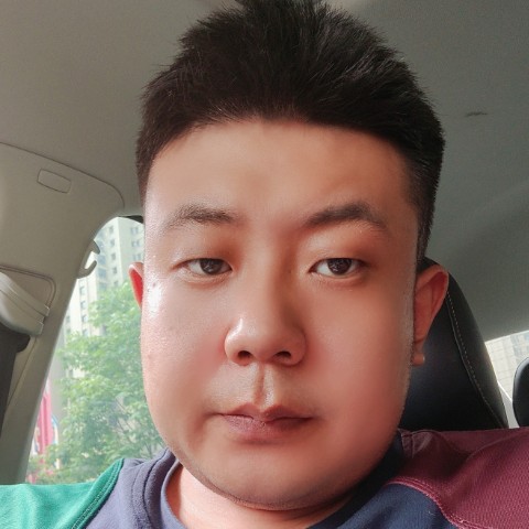 陌上长颈鹿的照片
