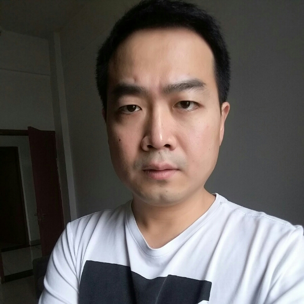 直率小海豚的照片