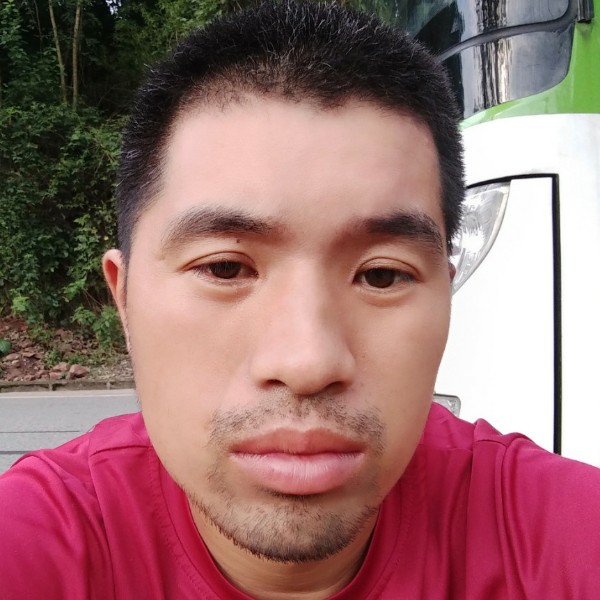 铅笔清秀的照片