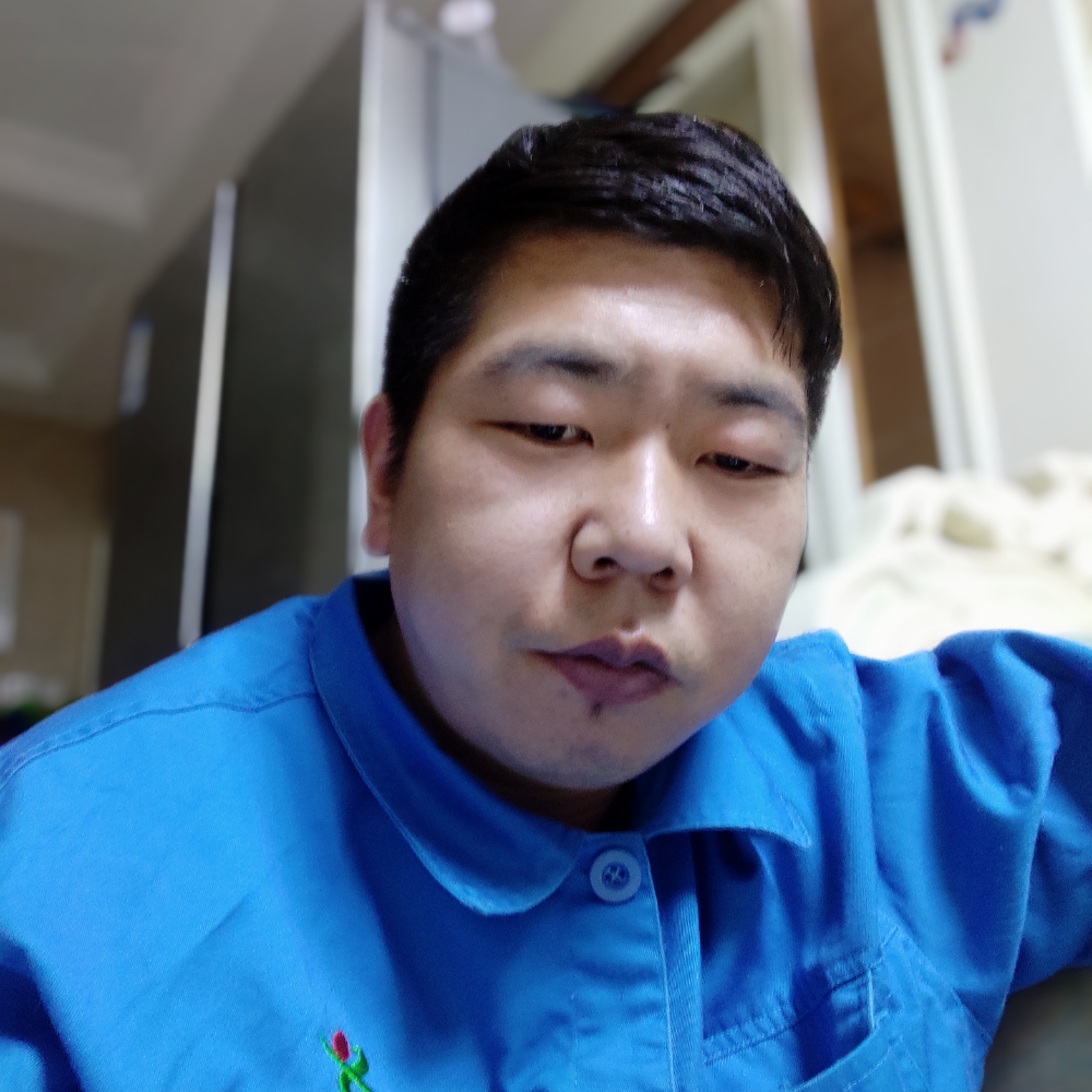小海豚爱恋开放的照片