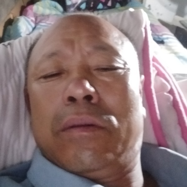 玫瑰那跳跃的照片