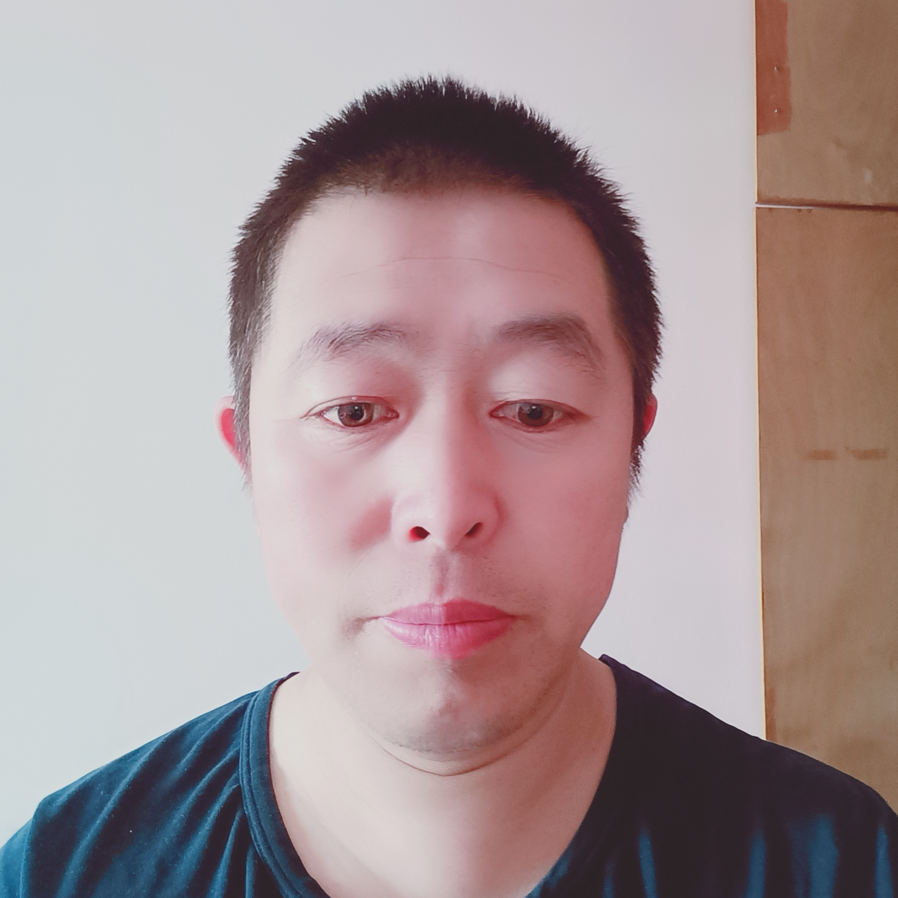 安详漫步鸭子的照片