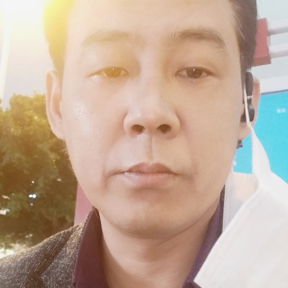 羽毛泪了自然的照片